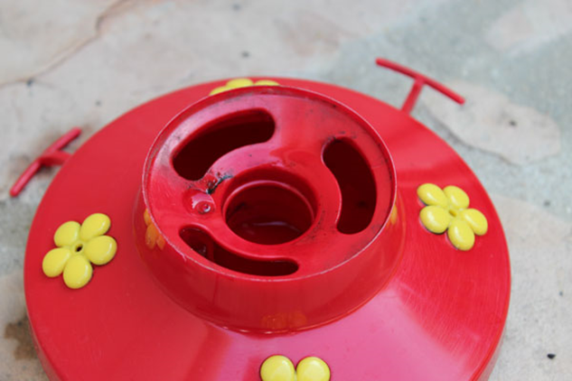 Mold in feeder ports